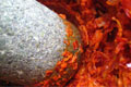 Post image for Basic Red Thai Curry Paste <br /> (น้ำพริกแกงเผ็ด ; nam phrik gaaeng phet)