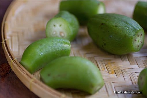 geng-kati-sai-bua-2