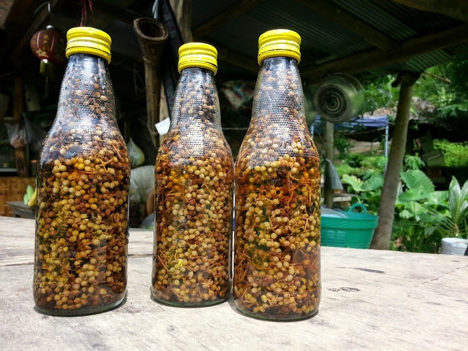 Laap seasoning - fish sauce with fresh makhwaen Laap seasoning - fish sauce with fresh makhwaen