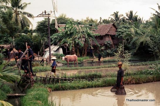 นนทบุรี | Nonthaburi ถ่ายเมื่อปีค.ศ.1969 (พ.ศ.๒๕๑๒)